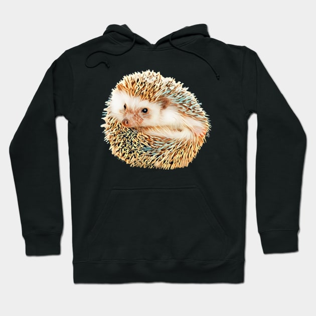 Hedgehog - Woodland Themed Kids Room, Funny Gifts For Forester, Cute Anima Hoodie by Shirtsmania